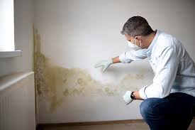 Best Air Quality Testing for Mold Spores  in Dock Junction, GA